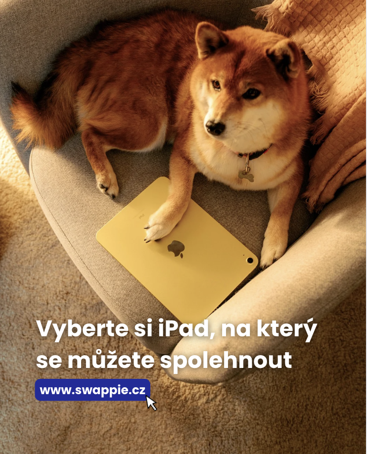 Final slide se shibou